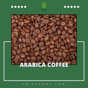 Arabica Coffee