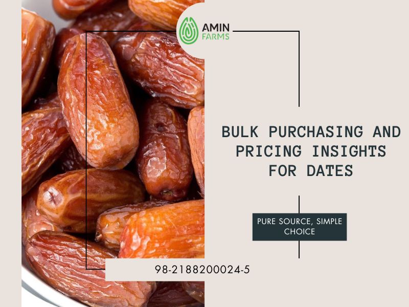Bulk Purchasing and Pricing Insights for Dates