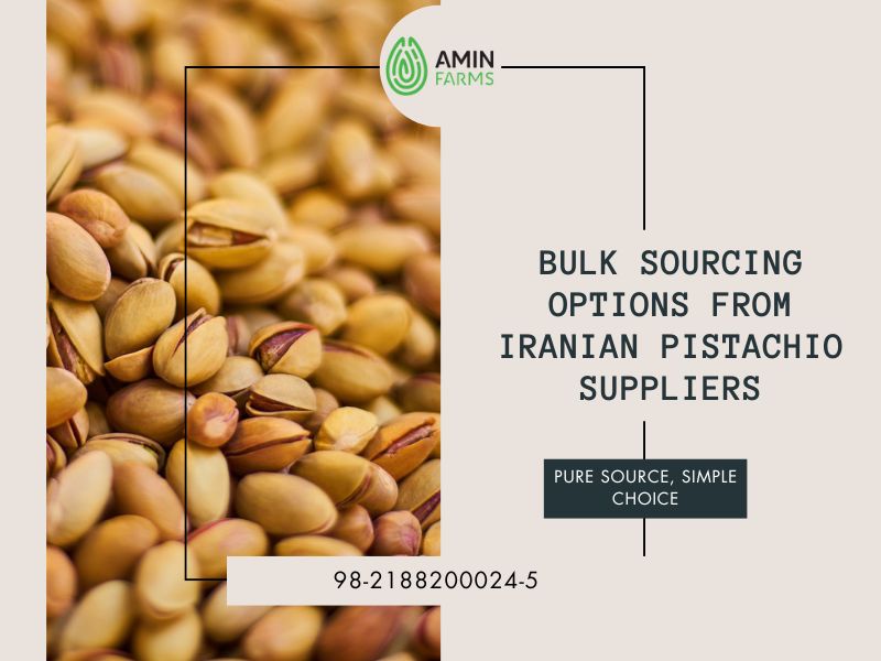 Bulk Sourcing Options from Iranian Pistachio Suppliers
