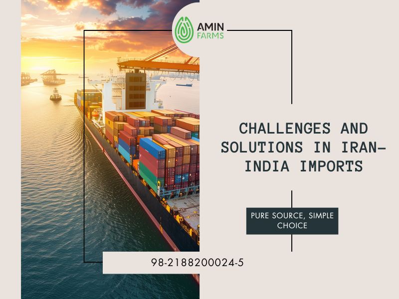 Challenges and Solutions in Iran-India Imports
