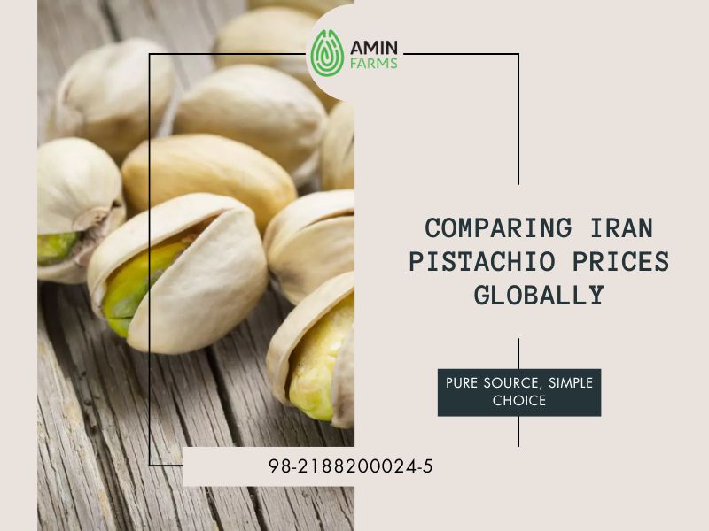 Comparing Iran Pistachio Prices Globally