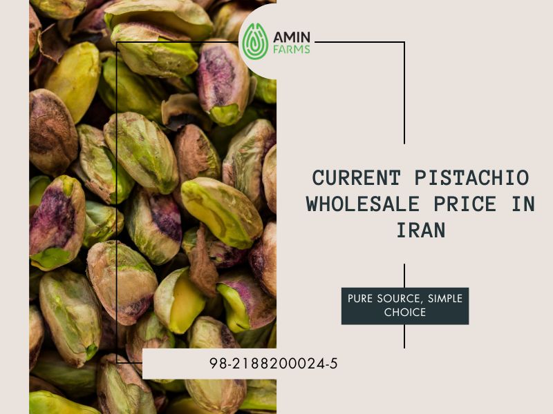 Current Pistachio Wholesale Price in Iran