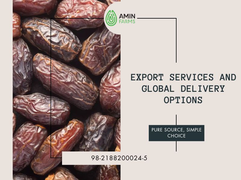 Export Services and Global Delivery Options
