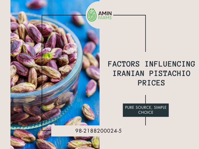 Factors Influencing Iranian Pistachio Prices