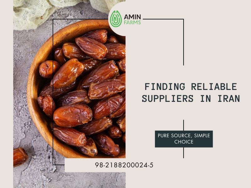 Finding Reliable Suppliers in Iran