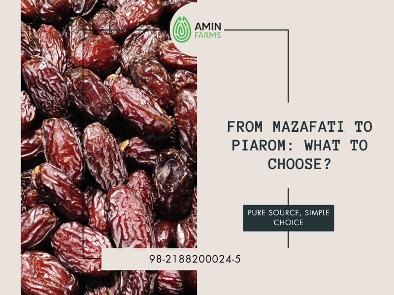 From Mazafati to Piarom What to Choose