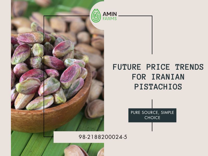 Future Price Trends for Iranian Pistachios