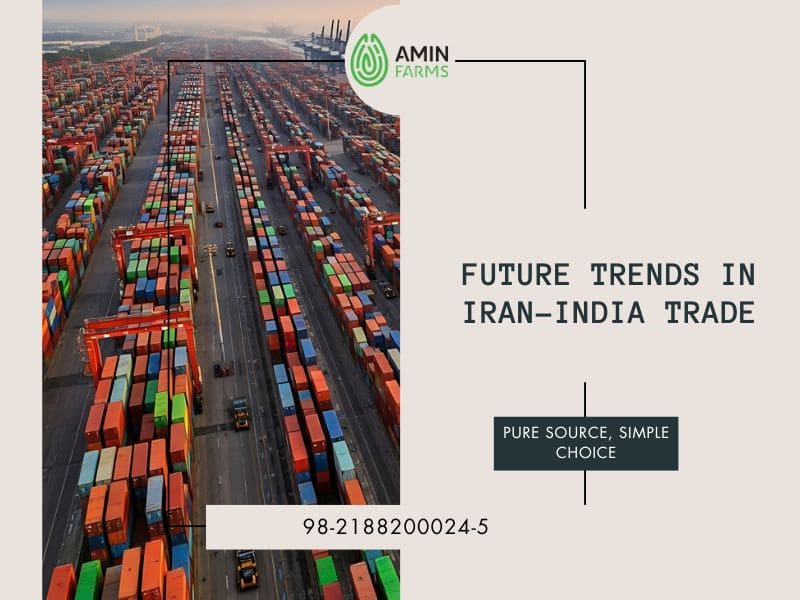 Future Trends in Iran-India Trade
