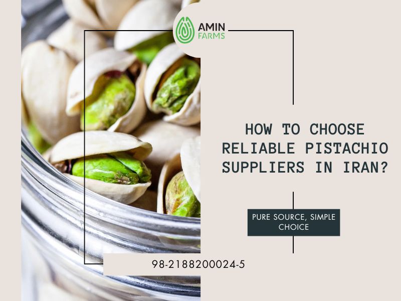 How to Choose Reliable Pistachio Suppliers in Iran