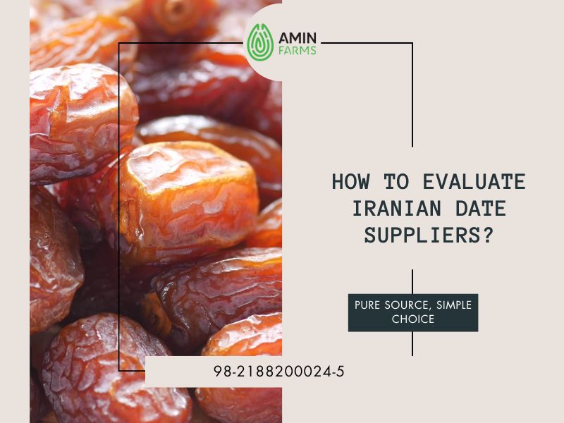 How to Evaluate Iranian Date Suppliers