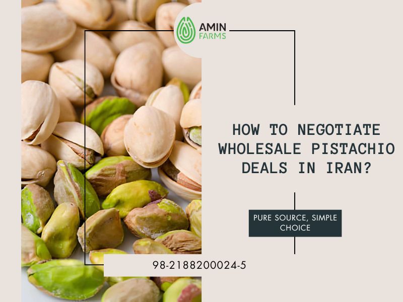 How to Negotiate Wholesale Pistachio Deals in Iran