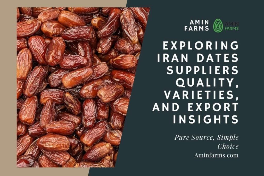 Iran Dates Suppliers