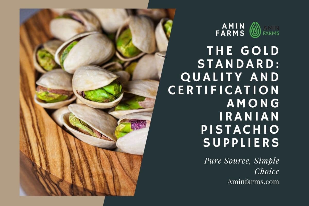 Iranian Pistachio Suppliers