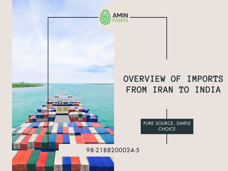 Overview of Imports from Iran to India