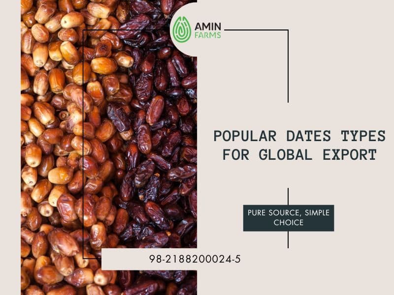 Popular dates Types for Global Export