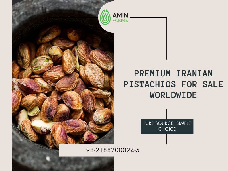 Premium Iranian Pistachios for Sale Worldwide