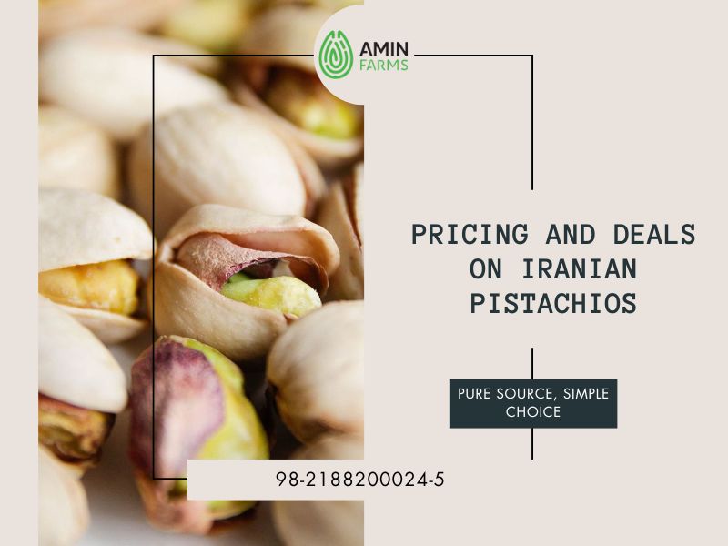 Pricing and Deals on Iranian Pistachios