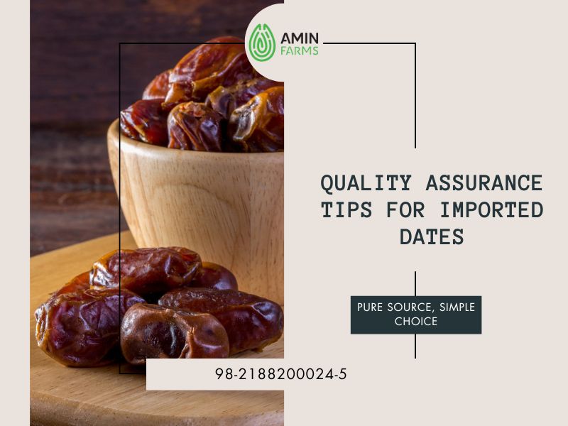 Quality Assurance Tips for Imported Dates