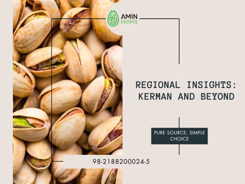 Regional Insights Kerman and Beyond