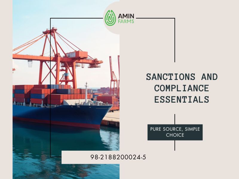 Sanctions and Compliance Essentials