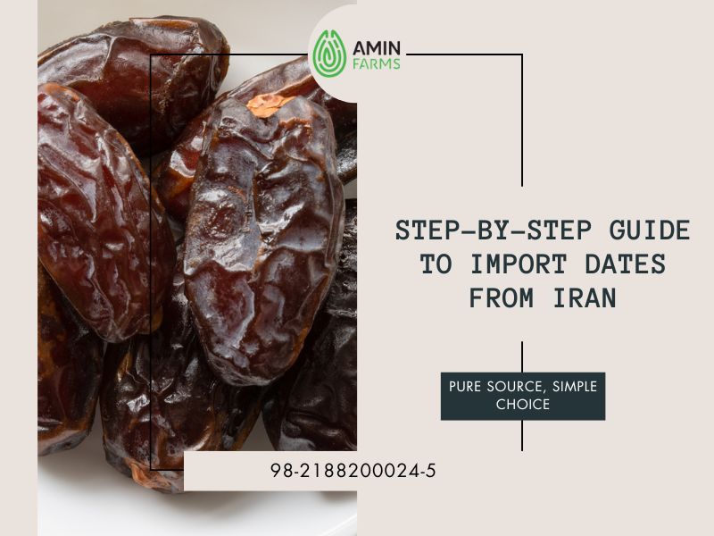 Step-by-Step Guide to Import Dates from Iran