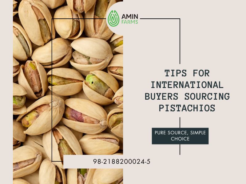 Tips for International Buyers Sourcing Pistachios