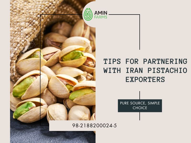 Tips for Partnering with Iran Pistachio Exporters