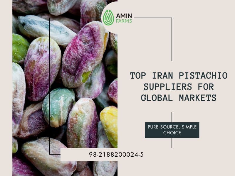 Top Iran Pistachio Suppliers for Global Markets