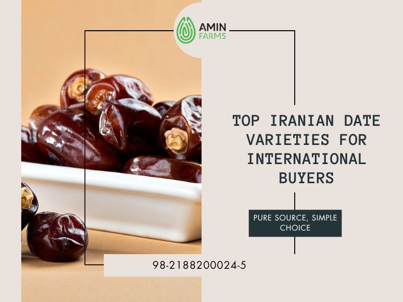 Top Iranian Date Varieties for International Buyers