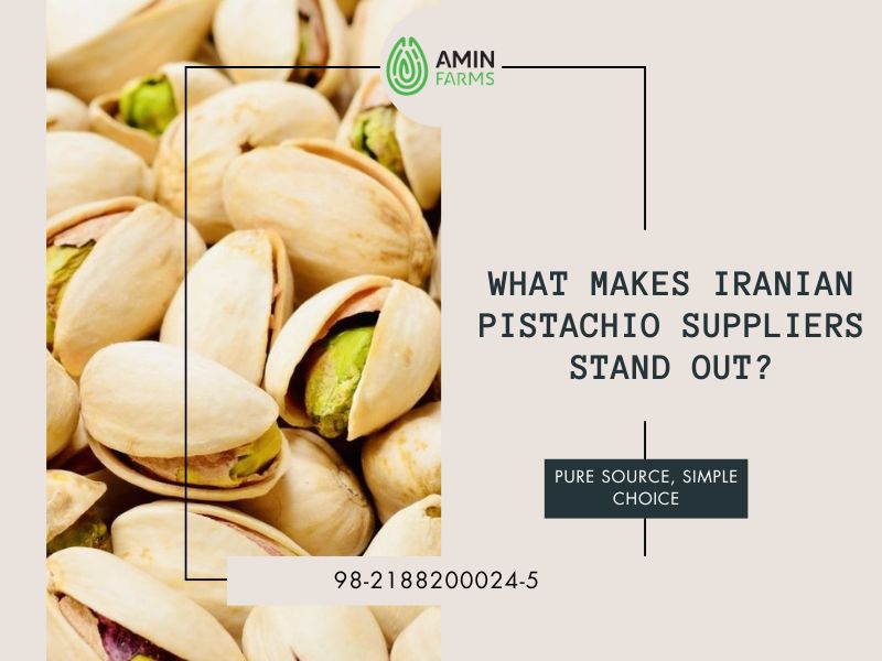 What Makes Iranian Pistachio Suppliers Stand Out