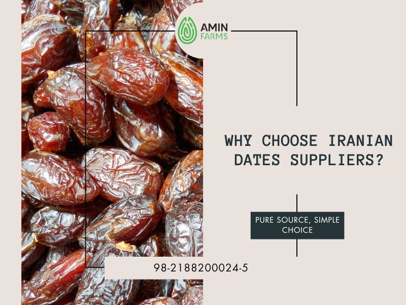 Why Choose Iranian Dates Suppliers