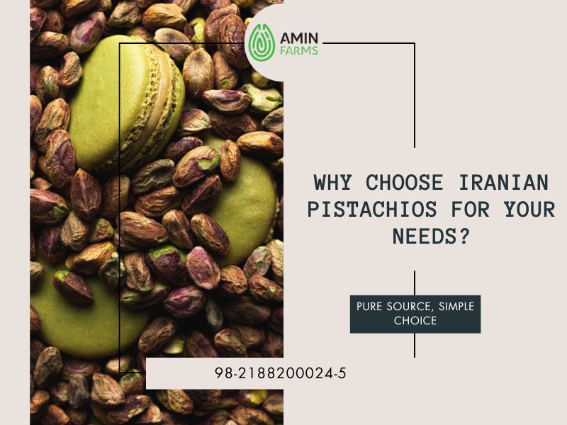 Why Choose Iranian Pistachios for Your Needs