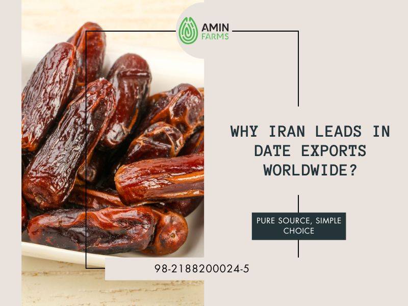 Why Iran Leads in Date Exports Worldwide