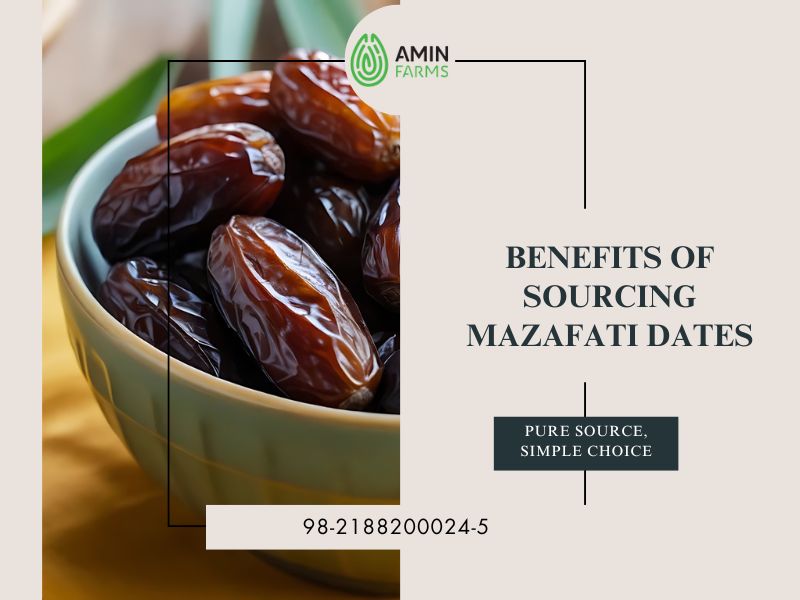 Benefits of Sourcing Mazafati Dates