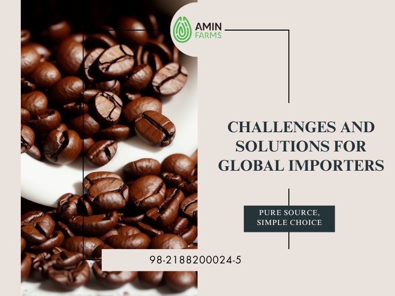 Challenges and Solutions for Global Importers