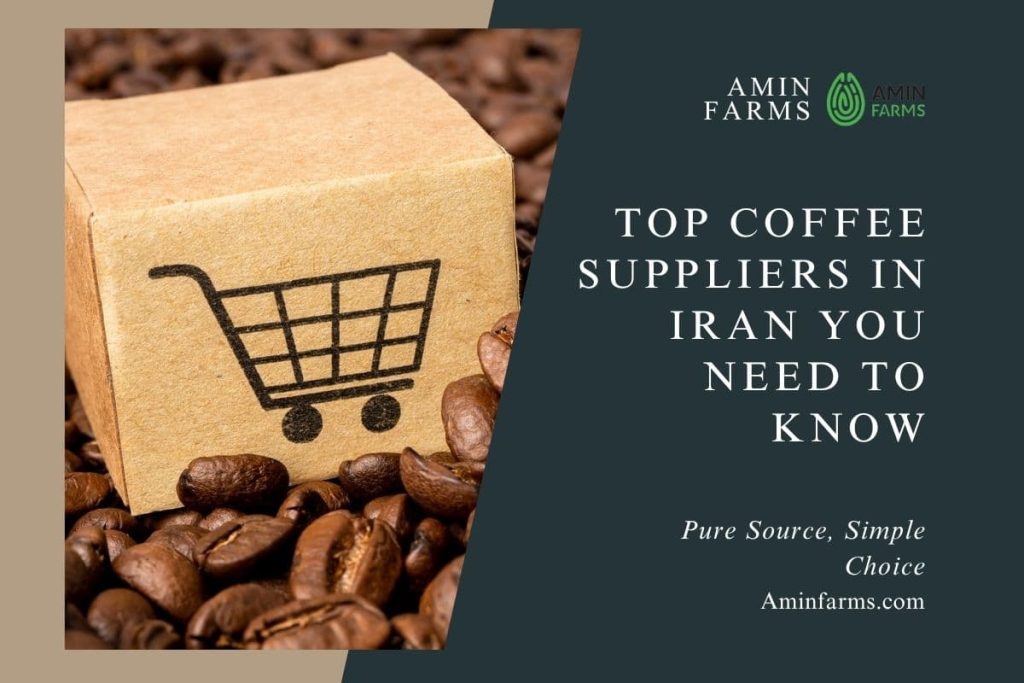 Coffee Suppliers in Iran