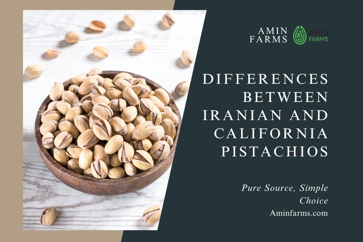 Differences Between Iranian and California Pistachios