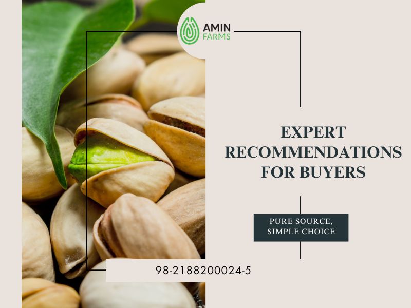 Expert Recommendations for 2025 Buyers