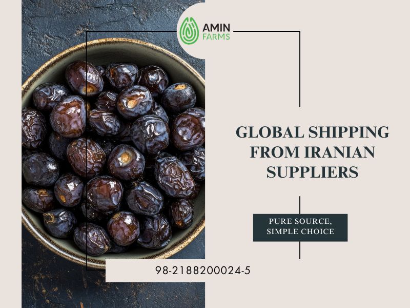 Global Shipping from Iranian Suppliers