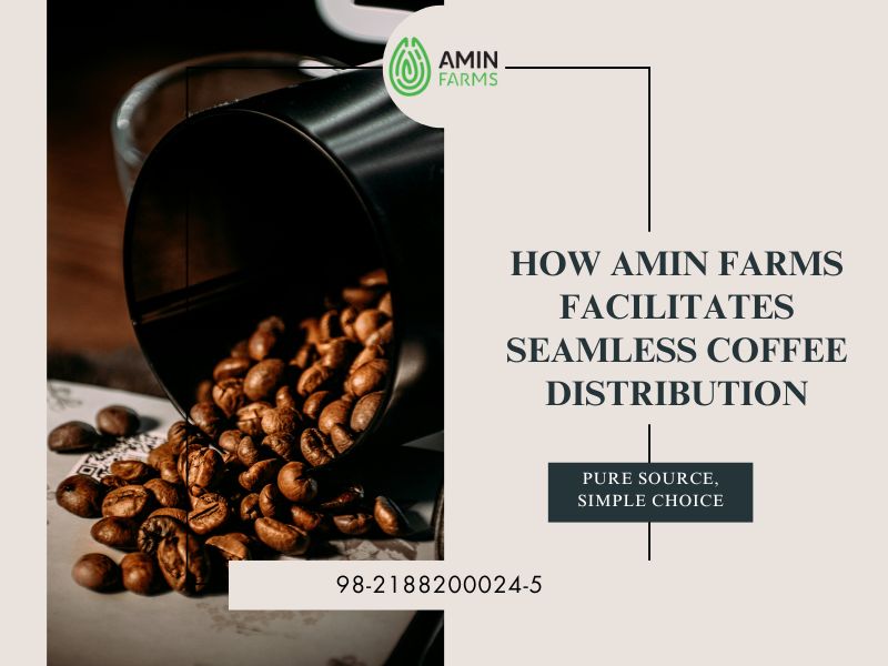 How Amin Farms Facilitates Seamless Coffee Distribution