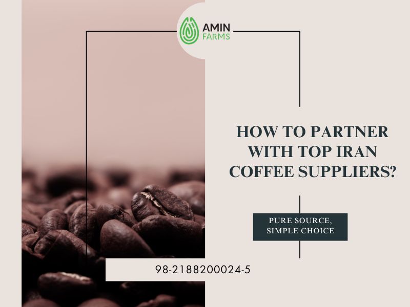 How to Partner with Top Iran Coffee Suppliers