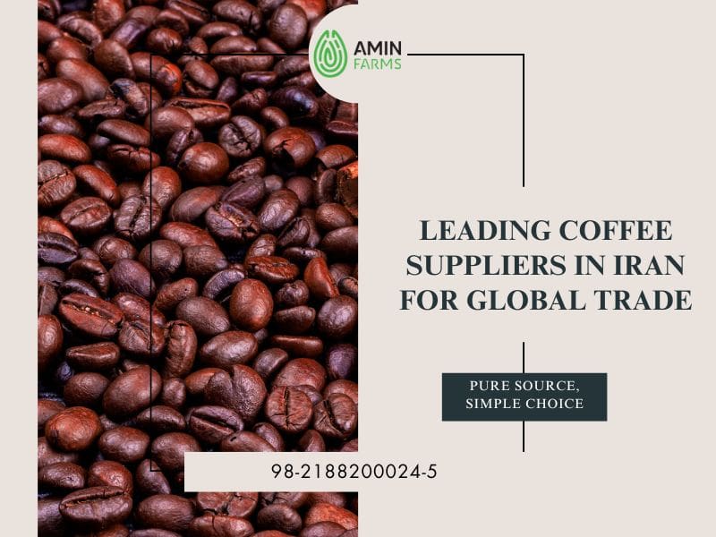 Leading Coffee Suppliers in Iran for Global Trade