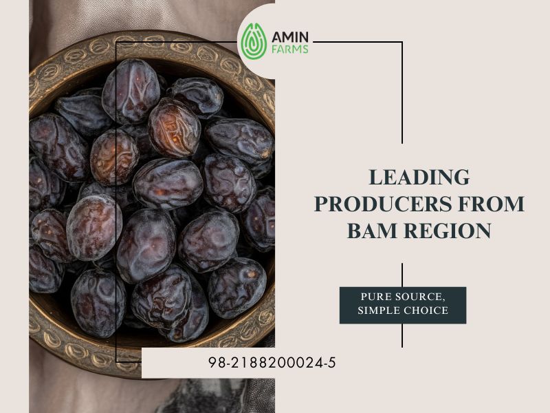 Leading Producers from Bam Region
