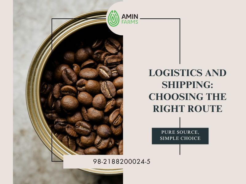 Logistics and Shipping Choosing the Right Route