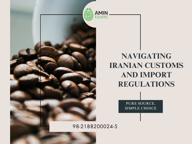 Navigating Iranian Customs and Import Regulations