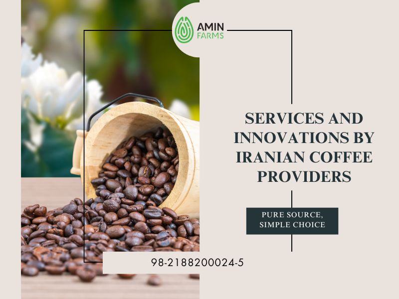 Services and Innovations by Iranian Coffee Providers