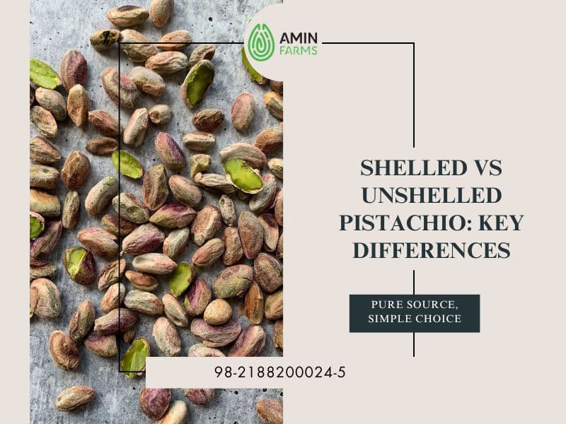 Shelled vs Unshelled Pistachio Key Differences