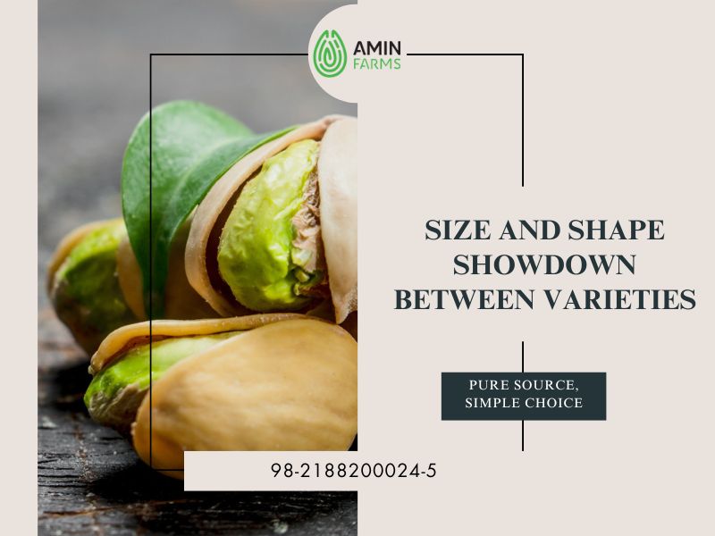 Size and Shape Showdown Between Varieties
