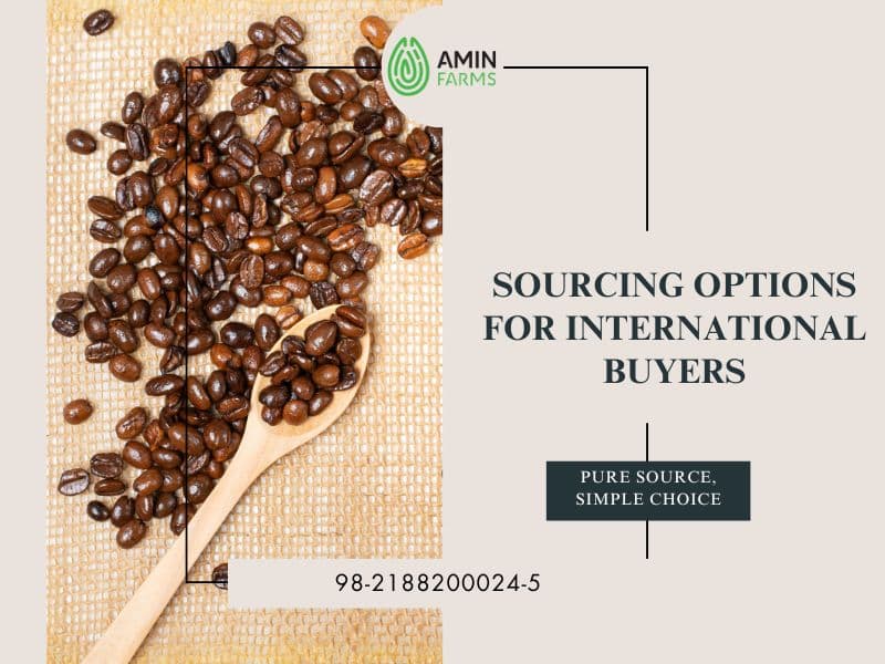 Sourcing Options for International Buyers
