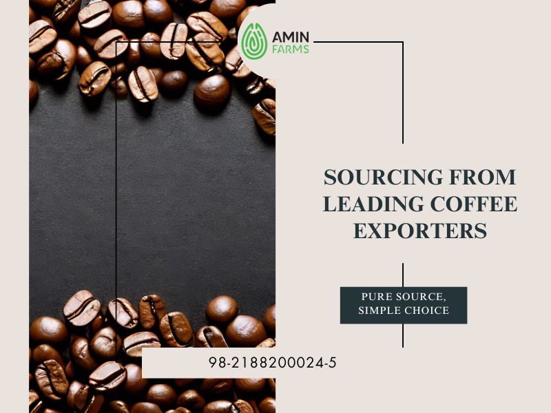 Sourcing from Leading Coffee Exporters